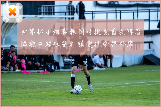 世界杯小组赛韩国对捷克首发阵容揭晓中超独苗朴镇燮待命替补席