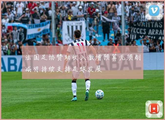 法国足协赞助收入激增预算无须削减将持续支持足球发展