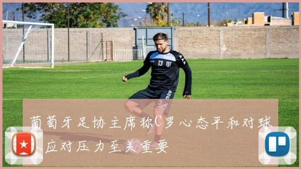 葡萄牙足协主席称C罗心态平和对球队应对压力至关重要