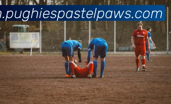 aoa登录入口APP 封面图